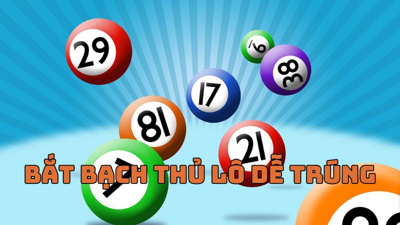 Cách bắt bạch thủ lô hay, hiệu quả