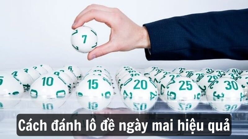 Cách đặt cược lô đề ngày mai hiệu quả