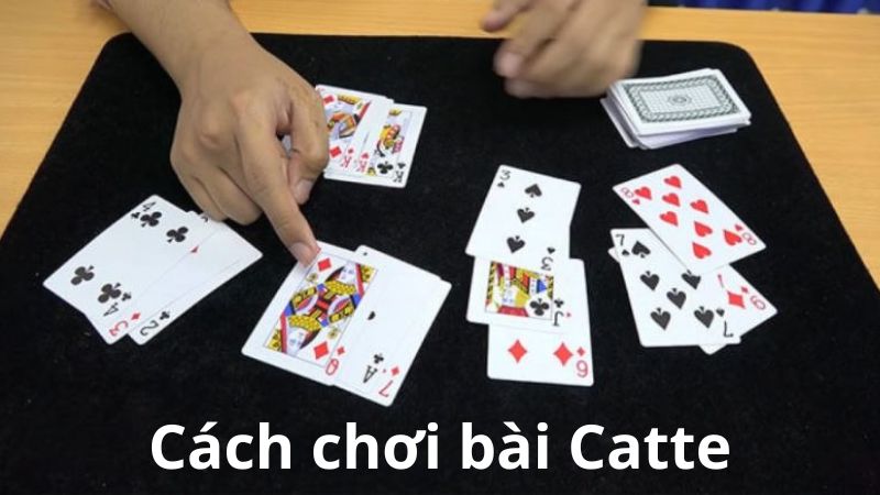 Cách chơi bài Catte
