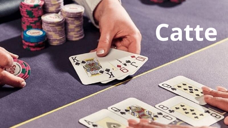 Catte 