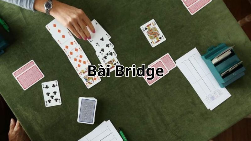 Giới thiệu bài Bridge